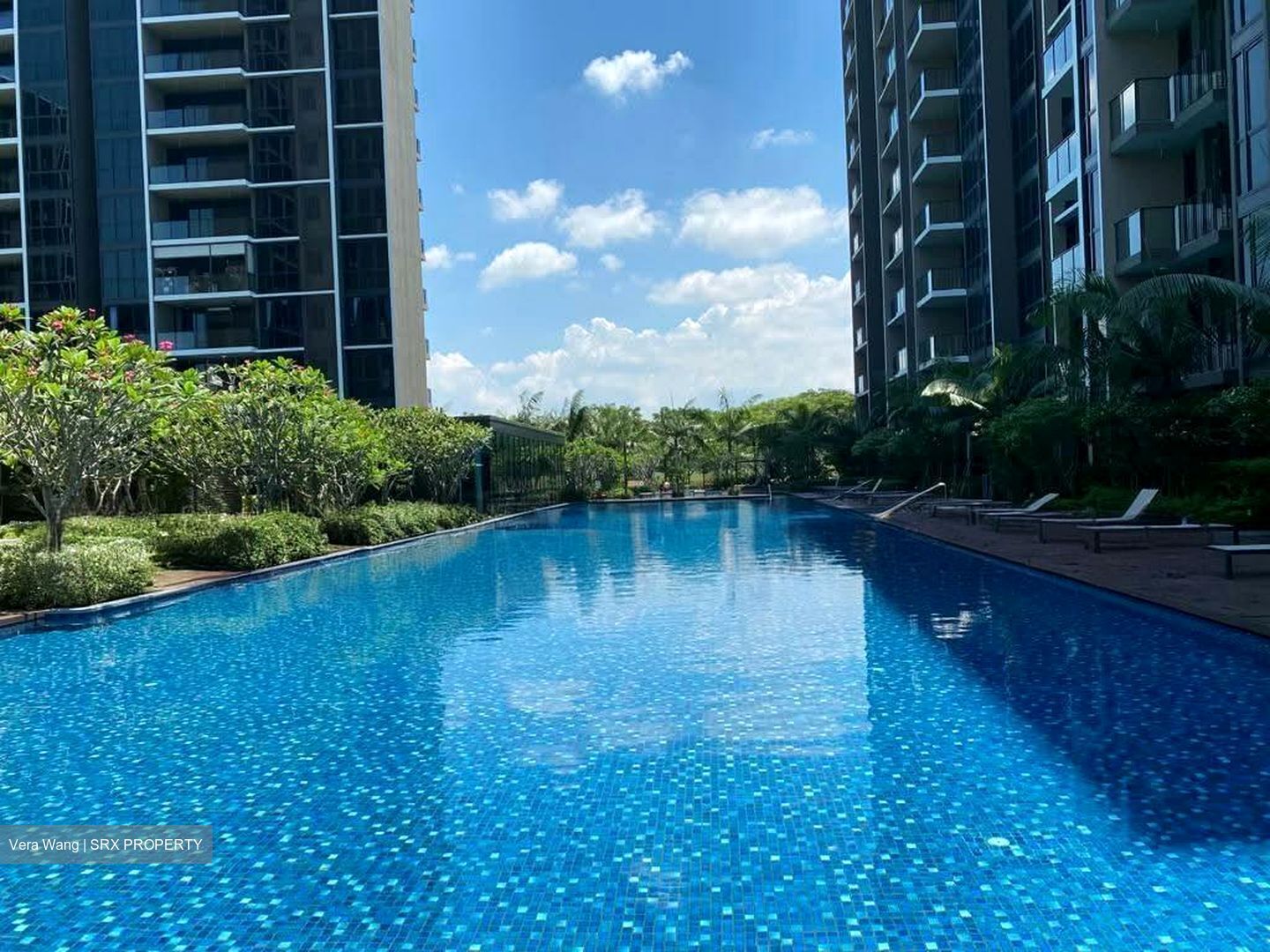 The Tapestry (D18), Condominium #559433471